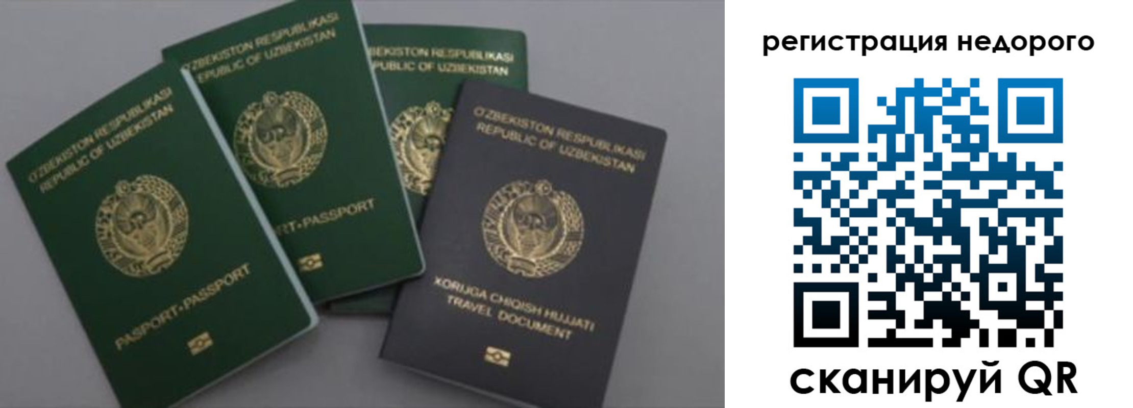 пропишу в квартире в Новодвинске